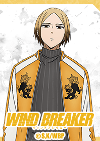 WIND BREAKER Vol.14
