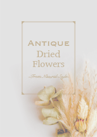 Antique dried flowers 14