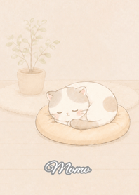 Cozy Lazy Cat: Momo