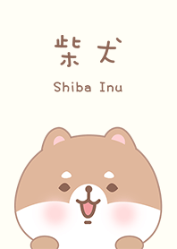 misty cat-Shiba Inu