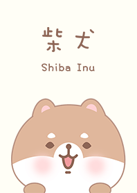 寶貝柴犬狗狗