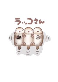 ラッコさん
