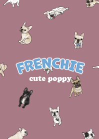 frenchie7 / dusty rose .jp