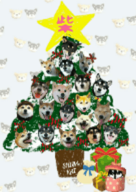 SHIBA-KAI FRIENDS