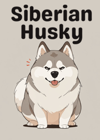 Siberian Husky - Dog