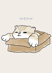 neko drawing4 / beige