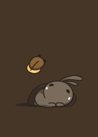 rabbit staring -163 - light