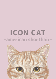ICON CAT-American Shorthair-PASTEL PK/06