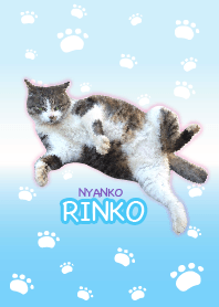 @Pet Grand Prix NYANKO RINKO