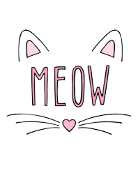 MEOW_white cat