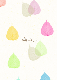 A leaf Stack Colorful5 from Japan