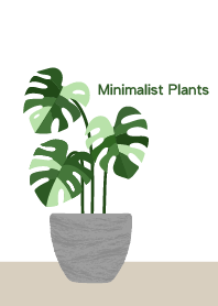 Minimalist Plants
