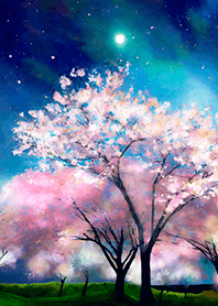 Beautiful night cherry blossoms#892