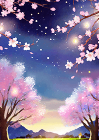 Beautiful night cherry blossoms#1793