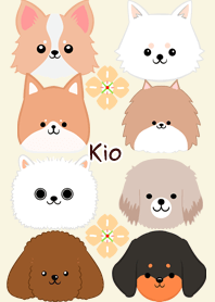 Kio Scandinavian dog style3