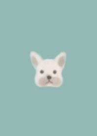 FRENCH BULL DOG (BEIGE) / GREEN