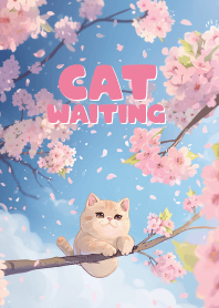 cute cat in sakura flower farm_2