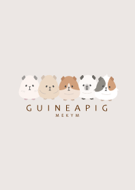 GUINEA PIG-PINK BEIGE 25