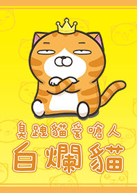 Lan Lan Cat 1