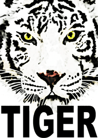 COOL TIGER