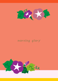 Morning glory flower day R&Y