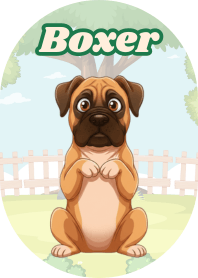 活力拳師犬 (Red 03)