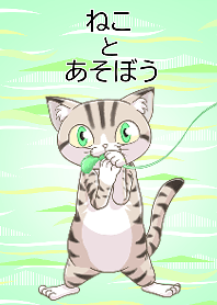 ねこ と  あそぼう