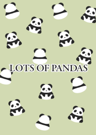 LOTS OF PANDAS-DUSTY YELLOW GREEN