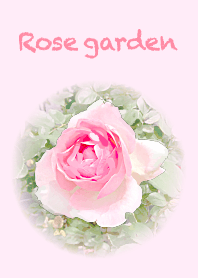 Rose garden -sweet pink-