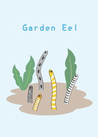 정원 잉어-블루