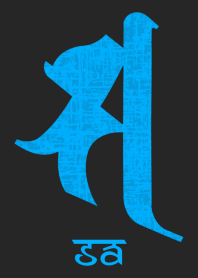 BONJI [sa] BLACK BLUE (0165