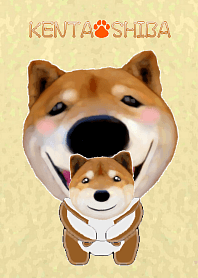 柴犬の「芝 けん太」3