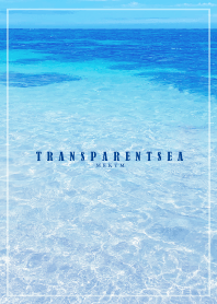 TRANSPARENT-SEA.HAWAII 31