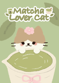 Matcha lover cat