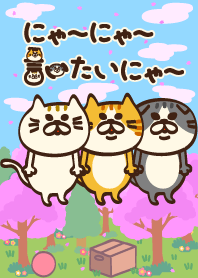 にゃーにゃー言いたいにゃー 3着目