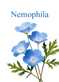 Nemophila vol.6