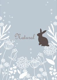 Botanical Gentle Garden19.