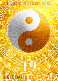 Lucky Yin Yang Lucky  number 19