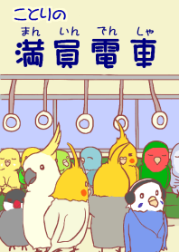 parakeets in train
