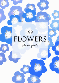 Flowers・ネモフィラ