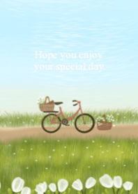 Bicycle in the meadow.