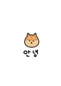 korea_shibainu