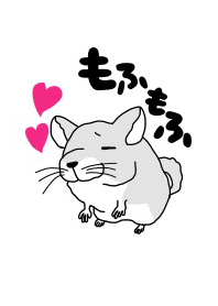 mofumofu Chinchillasan