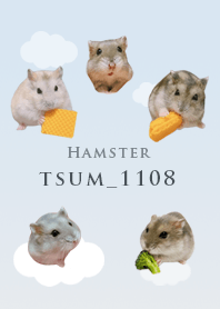 Hamster tsum_1108