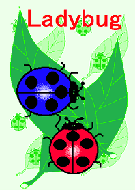 I Love Ladybug