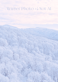 Winter Photo #4-11 Not AI