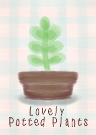 Lovely Potted Plants
