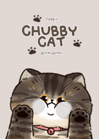 Chubby Cat : Tabby