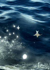 夜の月 月の海 #4jbg_5。