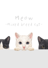 猫 - ミックス 02 - 白×灰色